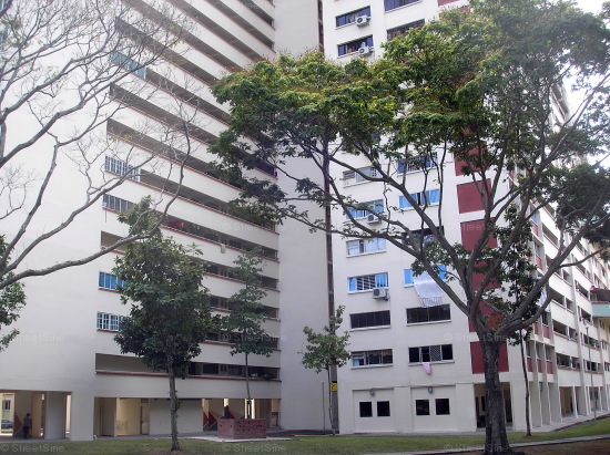 Potong Pasir Avenue 1 thumbnail photo